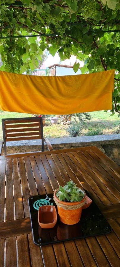 Apartmani Centar Seline Paklenica المظهر الخارجي الصورة