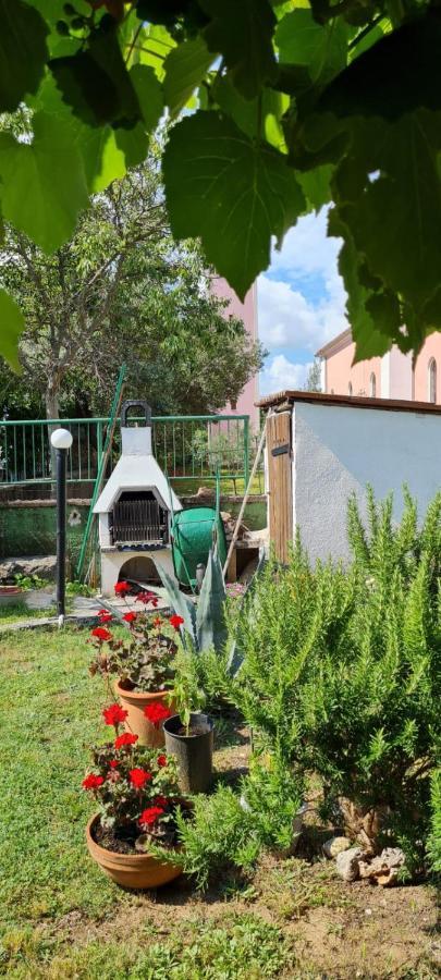 Apartmani Centar Seline Paklenica المظهر الخارجي الصورة